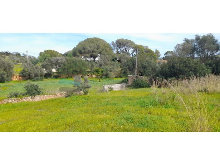 Image No.19-Plot for sale