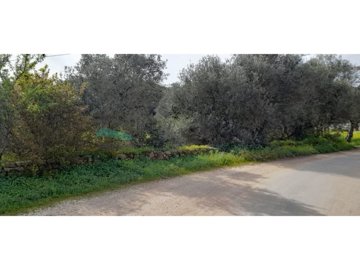 id670c7a01-0000-0500-0000-000012cffe32