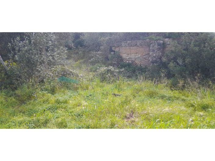 Image No.20-Plot for sale