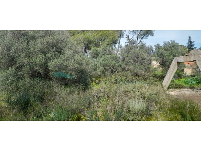 Image No.23-Plot for sale