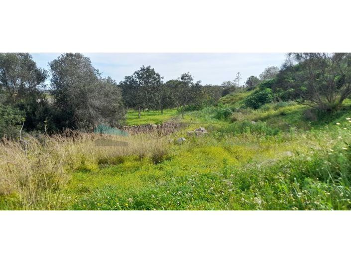 Image No.24-Plot for sale