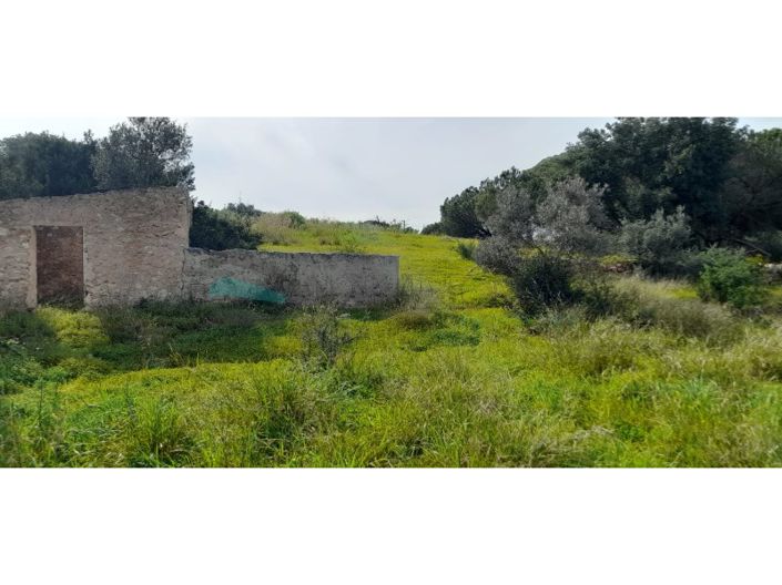 Image No.25-Plot for sale