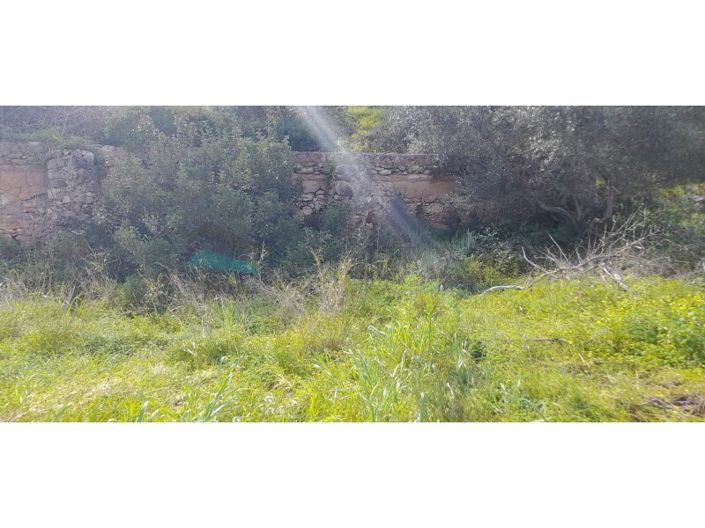 Image No.26-Plot for sale