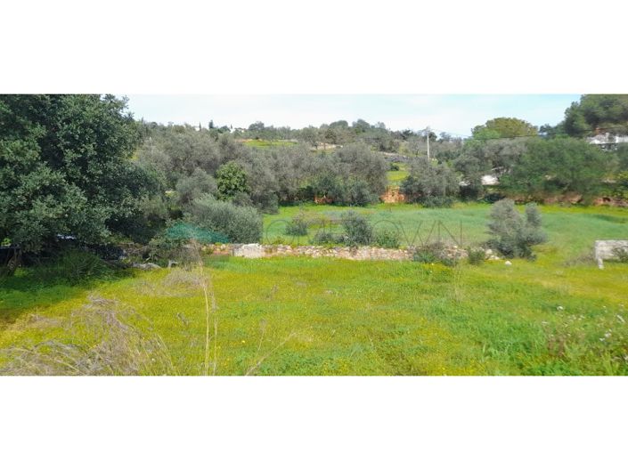 Image No.27-Plot for sale