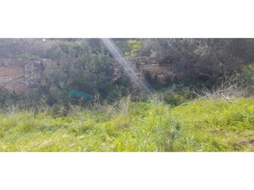 id670c7a01-0000-0500-0000-000012cffe3b