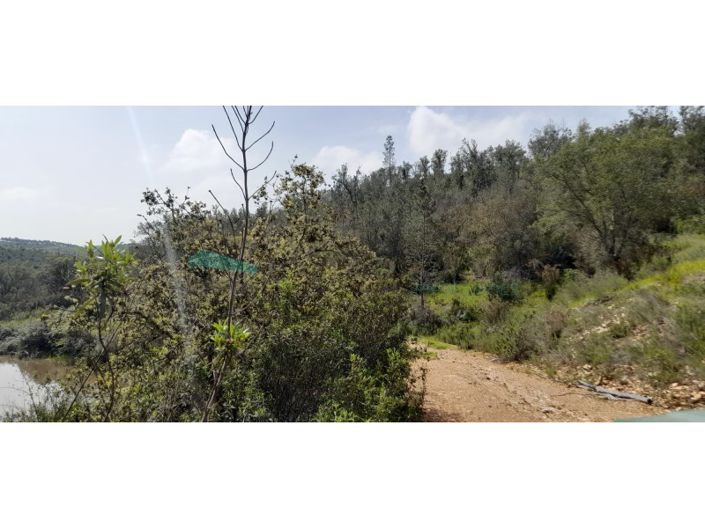 Image No.2-Plot for sale