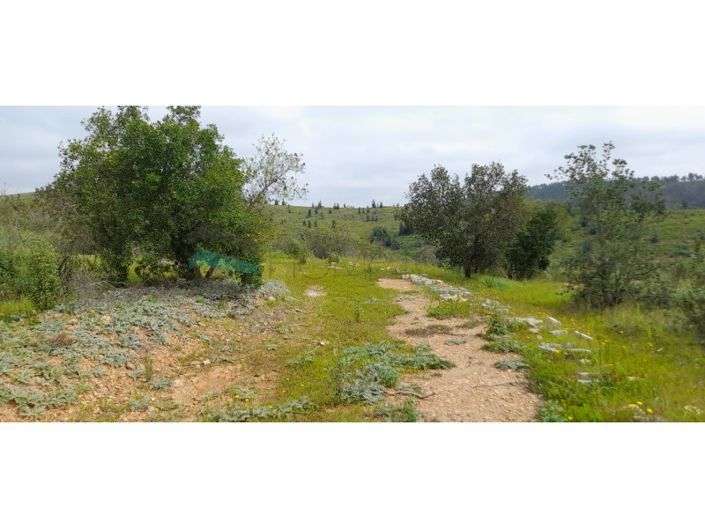 Image No.3-Plot for sale