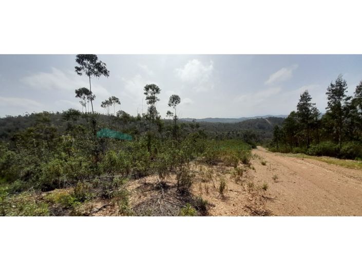 Image No.7-Plot for sale