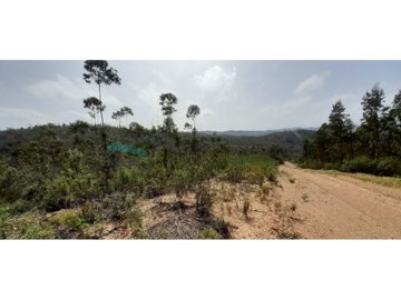 id23157b01-0000-0500-0000-000012ee6094