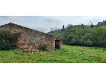 id23157b01-0000-0500-0000-000012ee6095