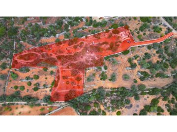 id8b806f01-0000-0500-0000-000011b7fd0b