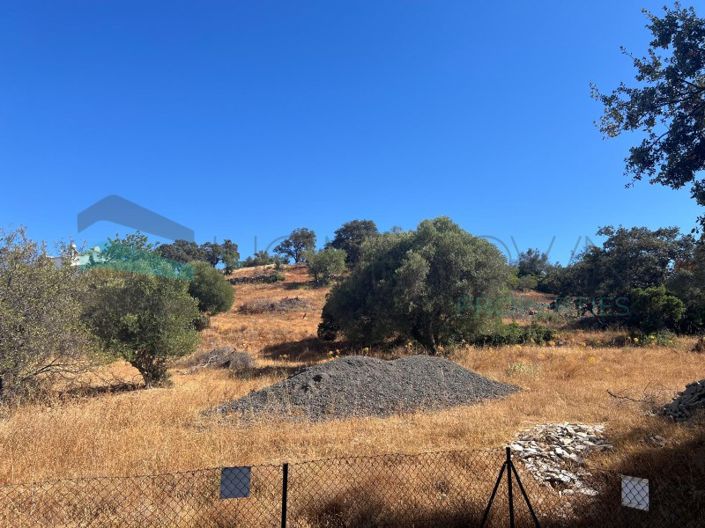 Image No.6-Plot for sale