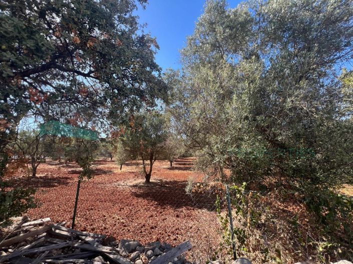 Image No.7-Plot for sale