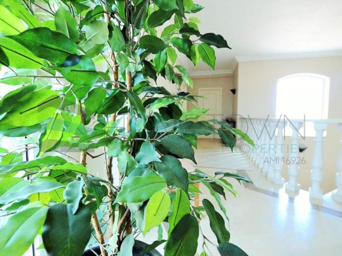 Image No.22-5 Bed House for sale