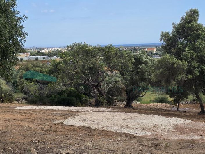 Image No.11-Plot for sale