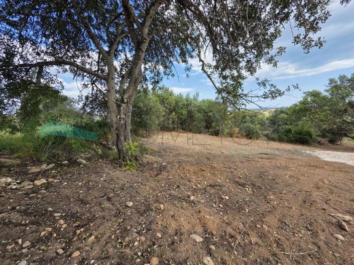 Image No.15-Plot for sale