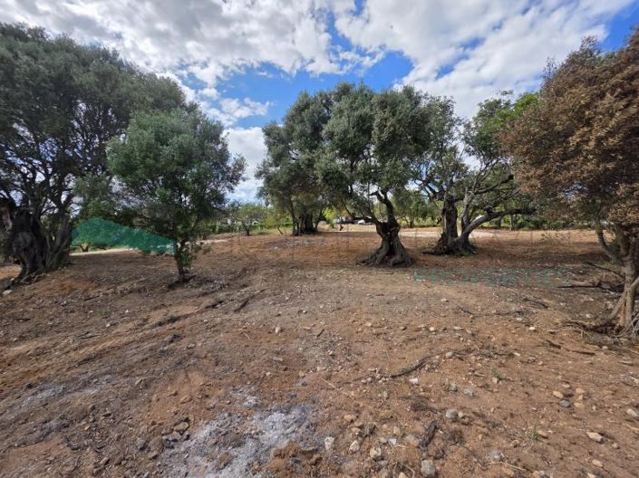 Image No.16-Plot for sale