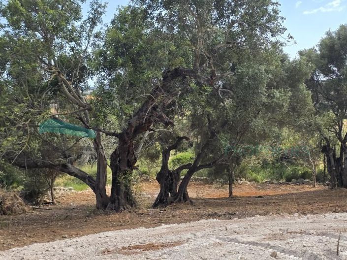 Image No.18-Plot for sale