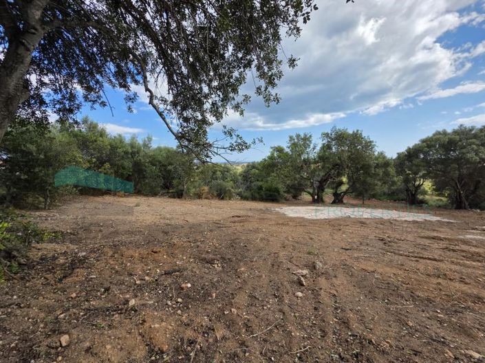 Image No.4-Plot for sale