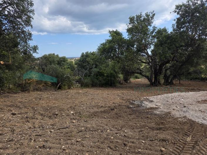 Image No.5-Plot for sale