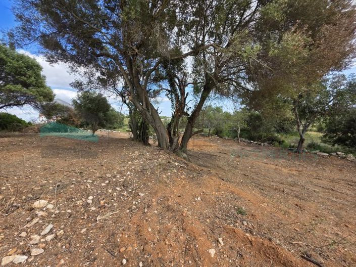 Image No.7-Plot for sale