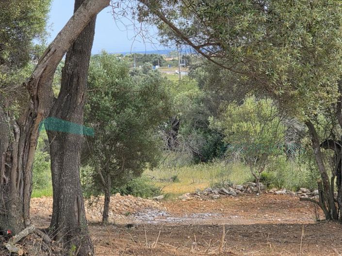 Image No.9-Plot for sale