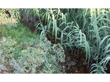 id8380b001-0000-0500-0000-0000173bd7d2