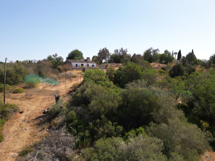 Image No.17-Ferme de 3 chambres à vendre à Loule
