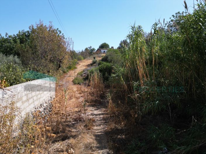 Image No.18-Ferme de 3 chambres à vendre à Loule