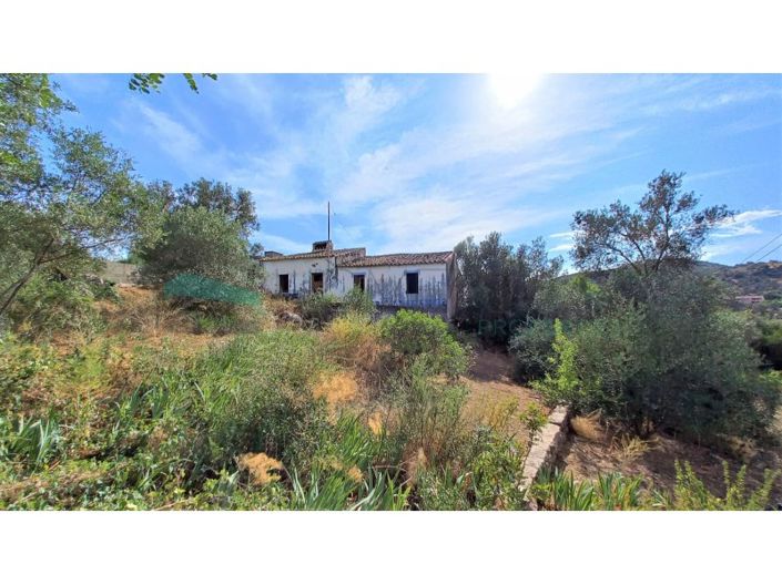 Image No.2-Ferme de 3 chambres à vendre à Loule