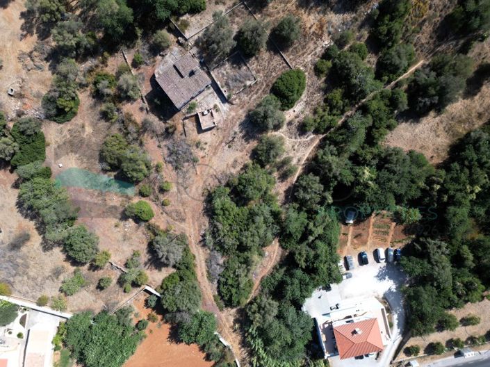 Image No.9-Ferme de 3 chambres à vendre à Loule