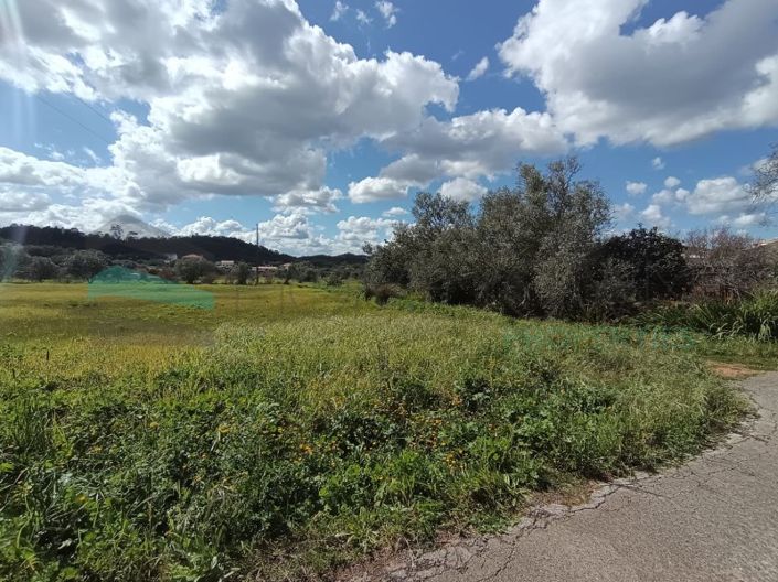 Image No.2-Plot for sale