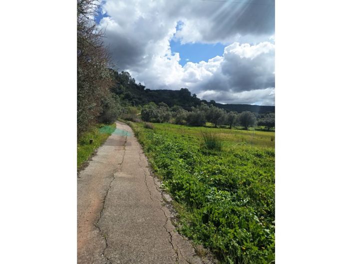 Image No.4-Plot for sale