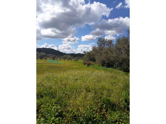 Image No.5-Plot for sale