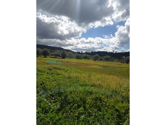 Image No.6-Plot for sale