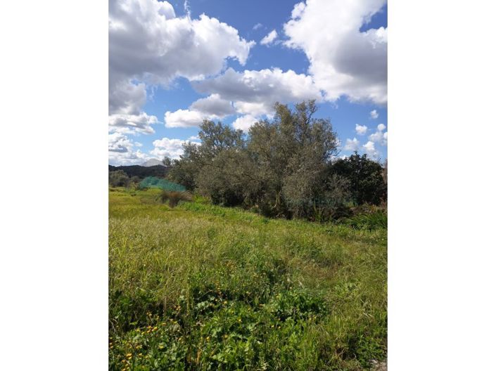 Image No.8-Plot for sale