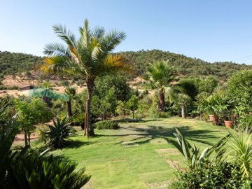 idcf0ba301-0000-0500-0000-0000163ab651