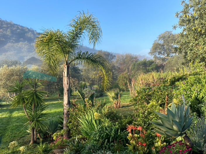 Image No.28-2 Bed House for sale