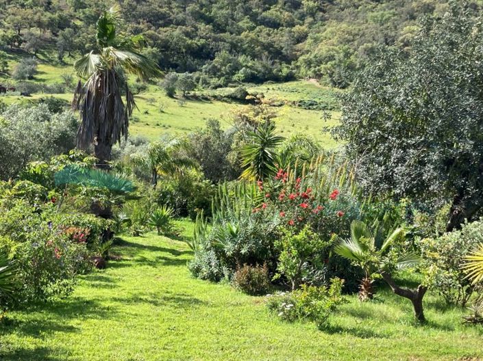 Image No.31-2 Bed House for sale