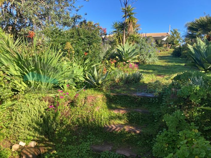 Image No.32-2 Bed House for sale