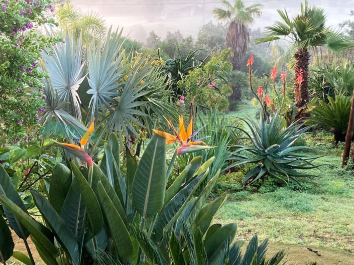 Image No.34-2 Bed House for sale