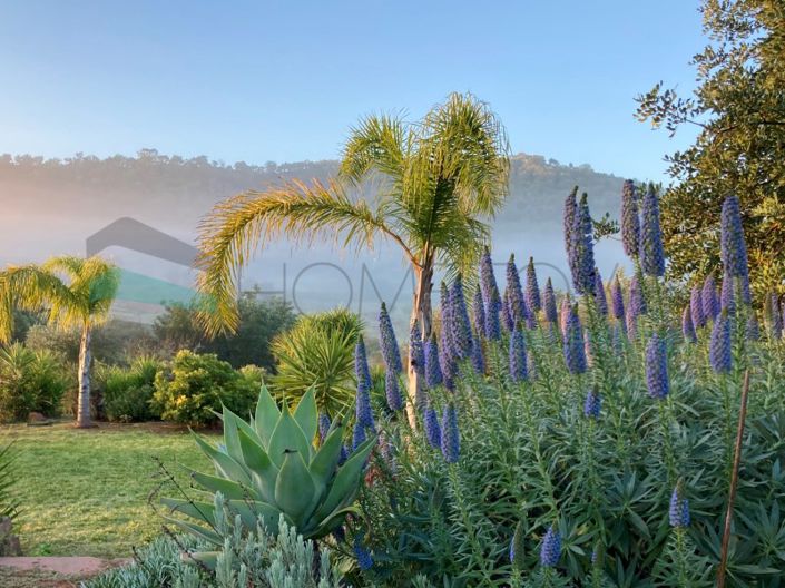 Image No.35-2 Bed House for sale