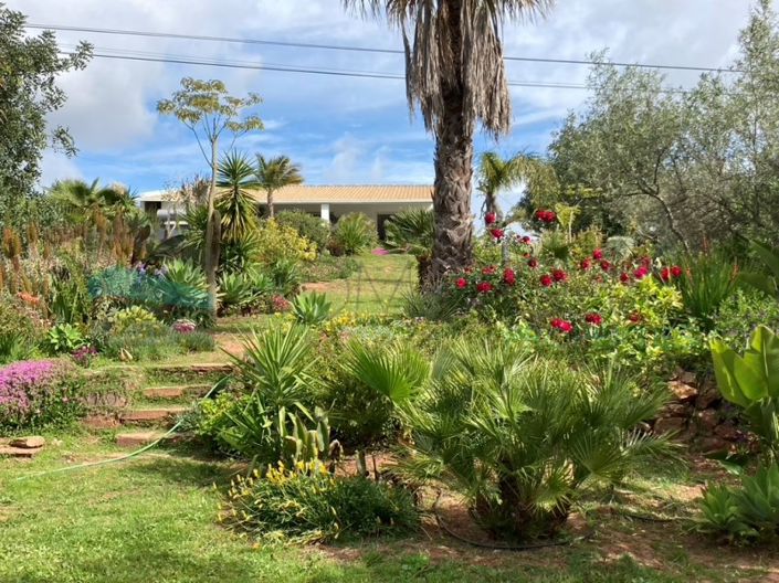 Image No.36-2 Bed House for sale