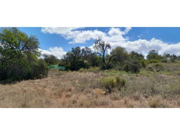 id04297d01-0000-0500-0000-00001328a88e