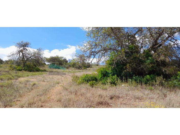 Image No.10-Terrain à vendre à Loule