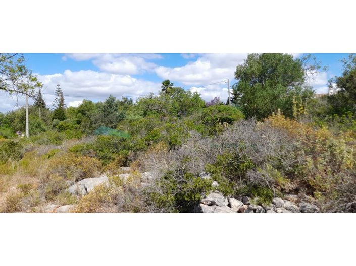 Image No.11-Terrain à vendre à Loule