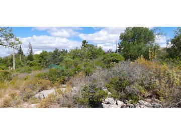 id04297d01-0000-0500-0000-00001328a898