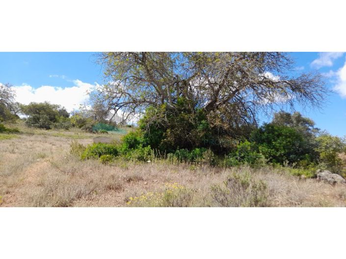 Image No.12-Terrain à vendre à Loule