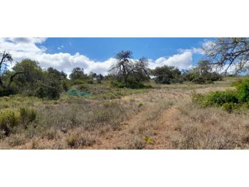 id04297d01-0000-0500-0000-00001328a89a