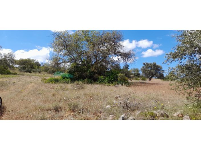 Image No.2-Terrain à vendre à Loule